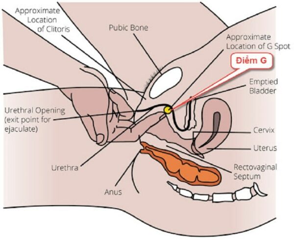 Kích thích điểm G bằng tay