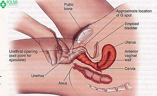 Quan hệ bằng tay đưa nàng lên đỉnh