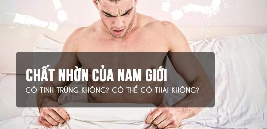 Chất nhờn của nam giới có tinh trùng không