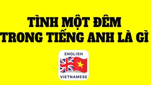 Tình 1 đêm tiếng anh là gì?